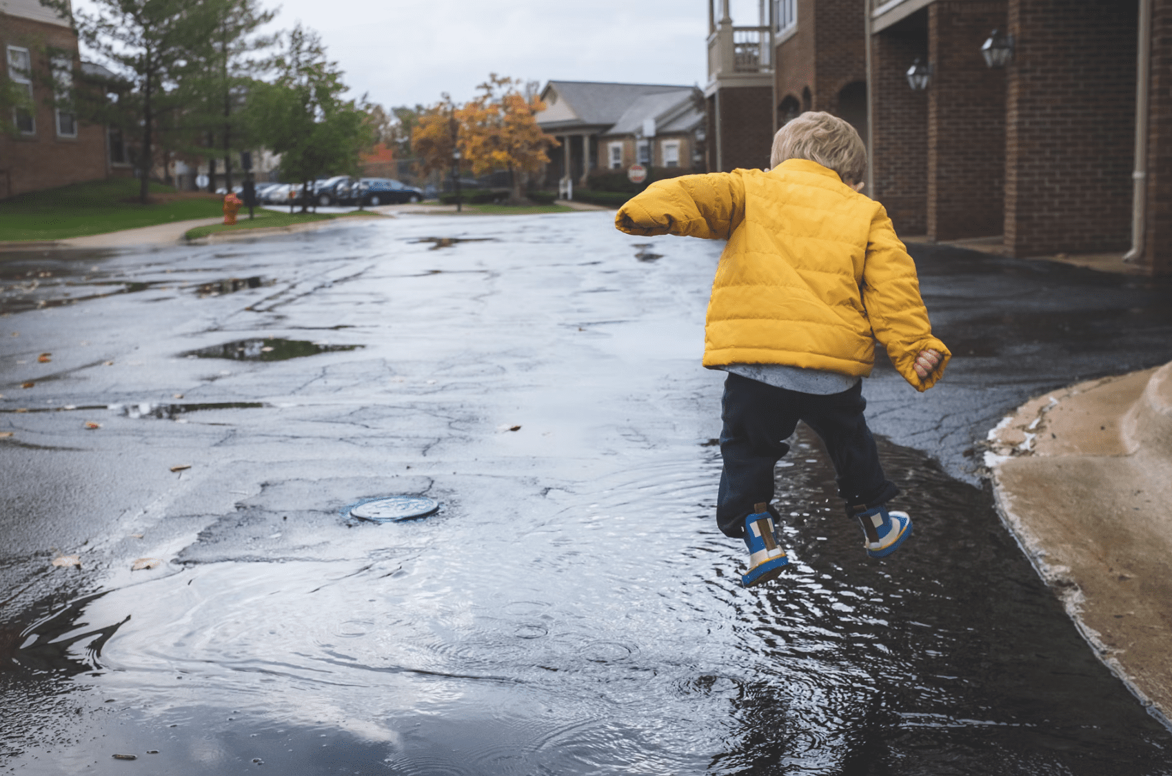 Plan B jumping in puddle